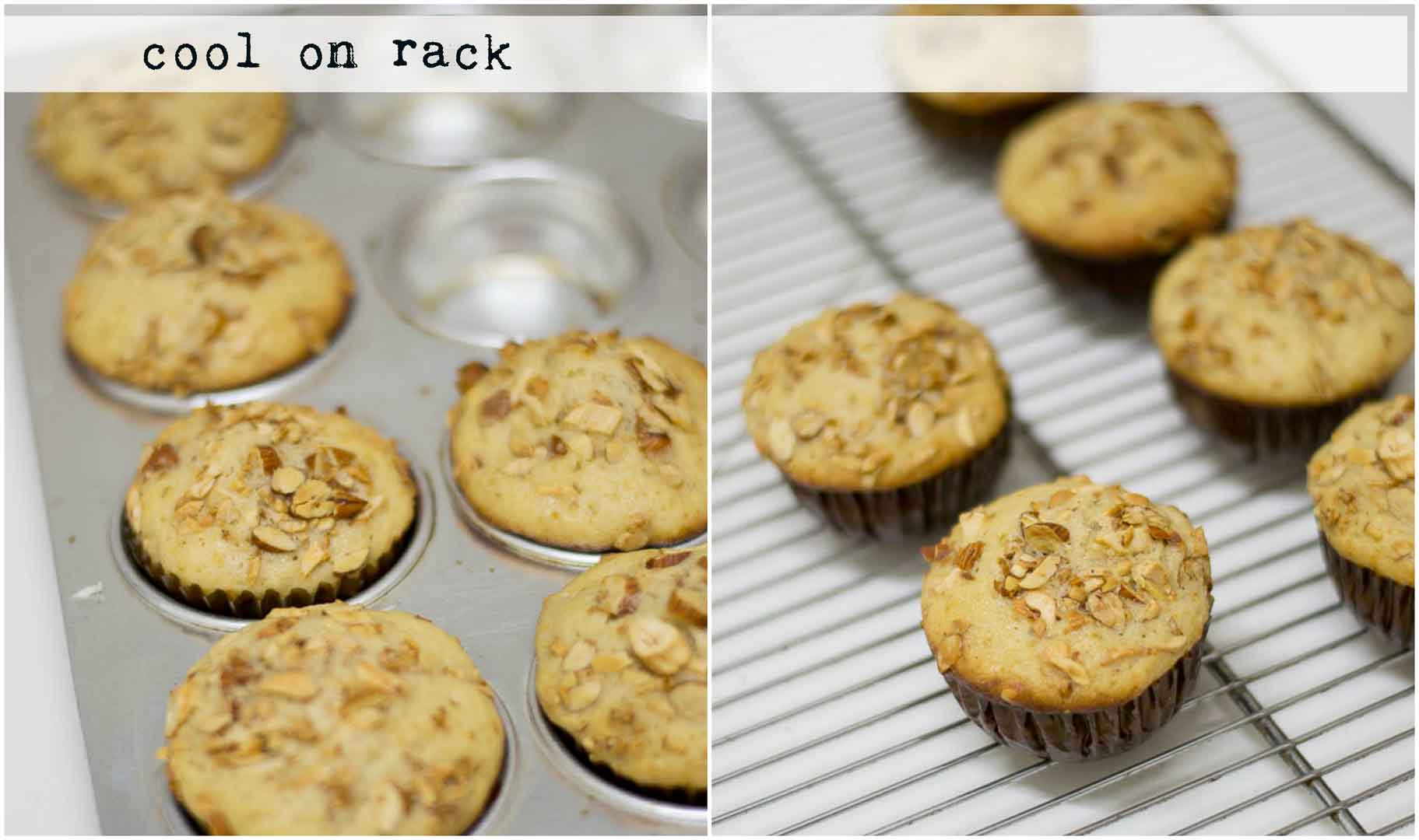 Basic-Vanilla-Nut-Muffins-Beginners-Recipe-28