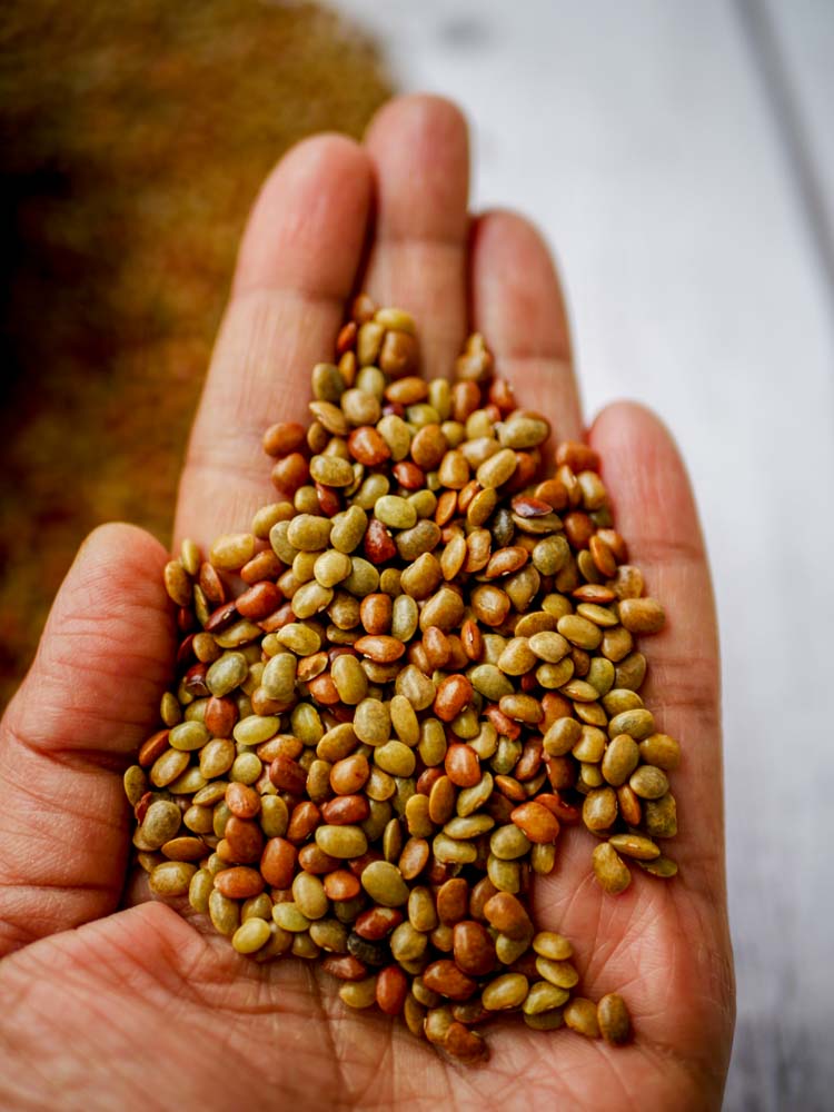 Horsegram rasam-1-2
