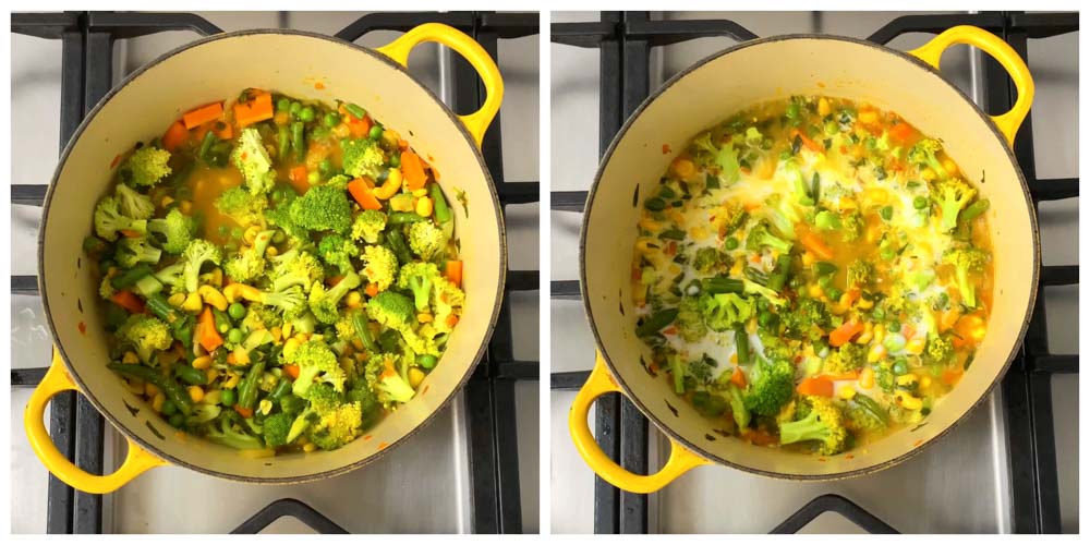 Vegetable-Curry-Turmeric-Coconut-milk-Sauce-7