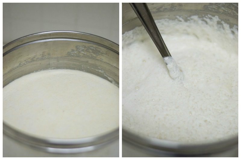 kottamuthu-idli-recipe-ferment