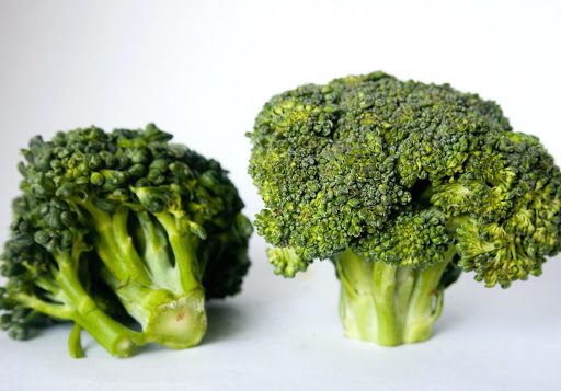 broc