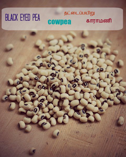 karamani-black-eyed-bean-puli-kuzhambu-curry-recipe-grain