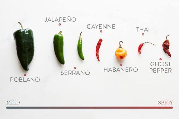 other-Chillies